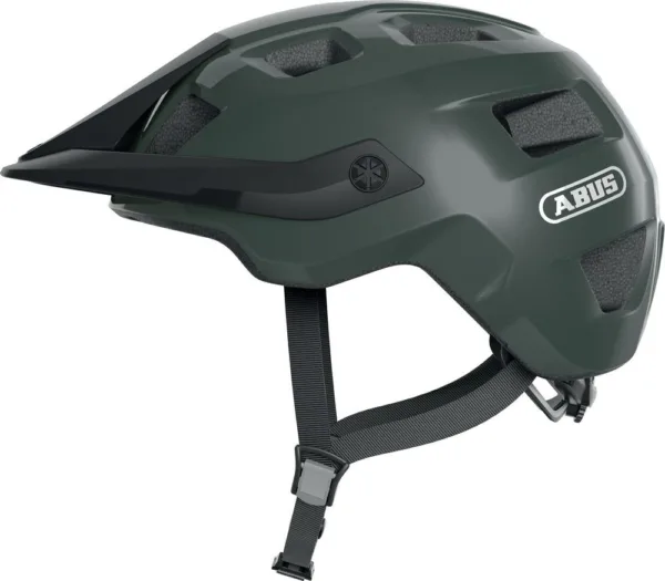 KASK ABUS MOTRIP PINE GREEN L
