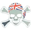 EMBLEMAT ZNACZEK CZASZKA MOD 10