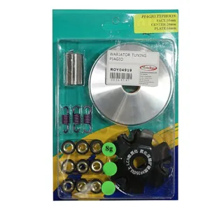 WARIATOR PIAGGIO 8gram TUNING