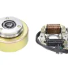 APARAT ZAPŁONOWY STATOR ATV 110/125 2 CEWKI + MAGNETO TZ SILNIK POZIOMY Z OZNACZENIEM 139FMB, 147FMD, 152FMH, 154FMI WYSTĘPUJĄCY W ATV CHIŃSKIE QUADY, MOTOROWERY STREET, CROSS, CZOPER
